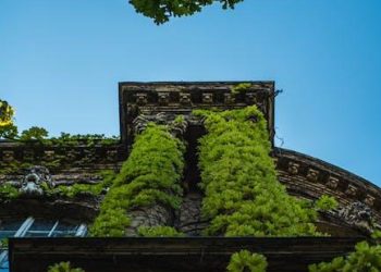 Uncovering Earth’s History: Fossils & Sedimentary Rocks